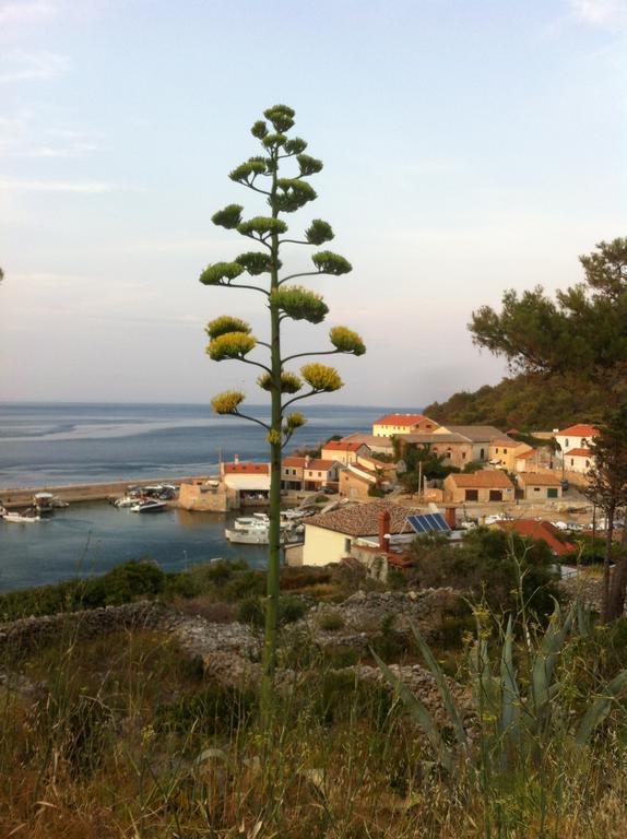 Apartments Katja Mali Lošinj Eksteriør bilde